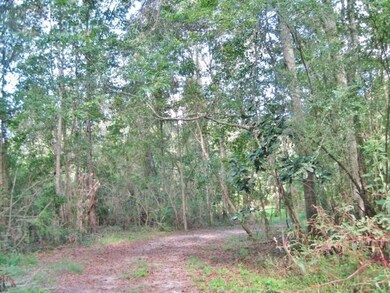 000 Sims Thornhill Rd, Tylertown, MS 39667 - photo 4