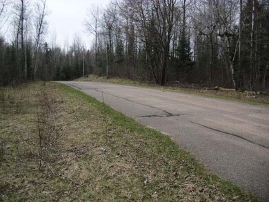 N 8992 Deer Tr, Tomahawk, WI 54487 - photo 3
