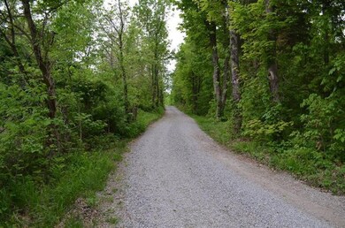 2100 Brewers Mill Rd, Harrodsburg, KY 40330 - photo 6