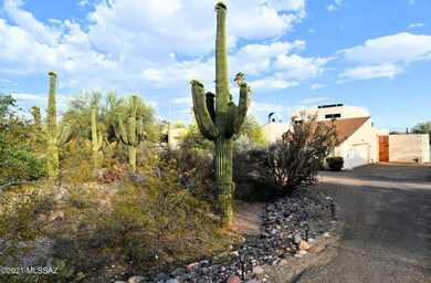 Saguaro Grove