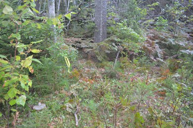 00 Montgomery Rd, Boothbay Harbor, ME 04538 - photo 3