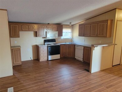 5041 Tin Top Rd, Weatherford, TX 76087 - photo 3