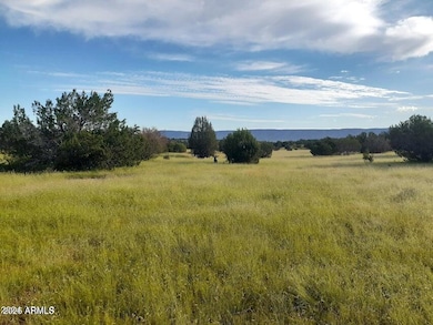 32018 W Calle Ines Pkwy, Seligman, AZ 86337 - photo 4