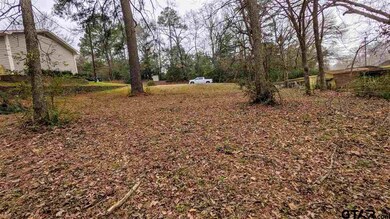 1012 S Azalea Dr, Tyler, TX 75701 - photo 4