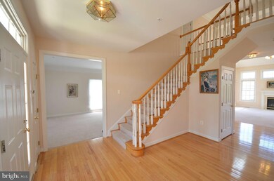 4806 Briggs Chaney Rd, Beltsville, MD 20705 - photo 3