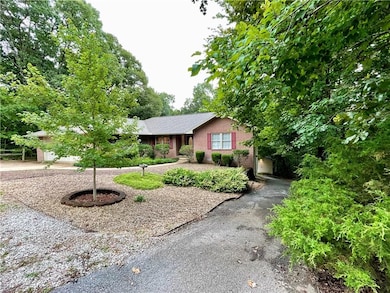 Amazing mature trees