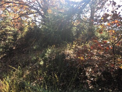 23.92Acres Shockley Place Rd, Rogers, AR 72756 - photo 5