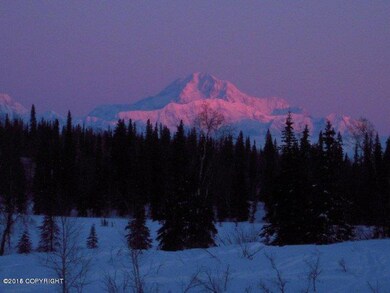 twight on Denali view