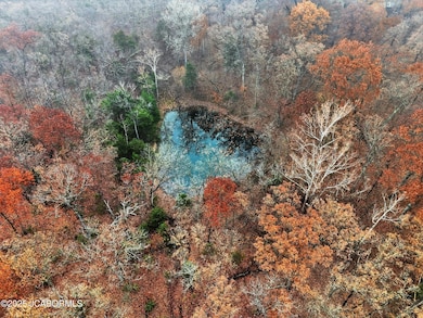 TRACT B6 Pea Ridge Rd, Centertown, MO 65023 - photo 5