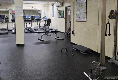 The Eden Rock unit 207, Jamaica, NY 11435 - photo 2