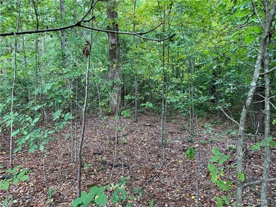 2410 Buhrstone Ct, Midlothian, VA 23113 - photo 5