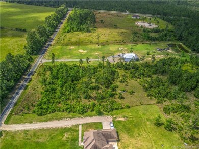 0 Harvey Parker Rd unit SWL25003392, Dequincy, LA 70633 - photo 6