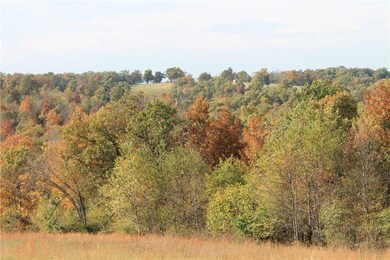 14136 Savoy Rd, Fayetteville, AR 72704 - photo 2