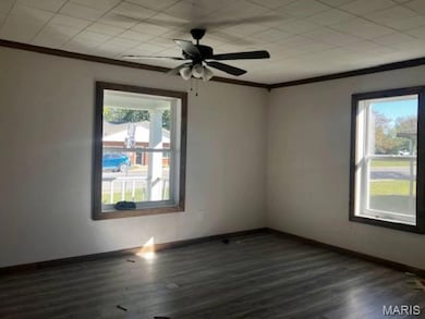 300 N Main St, Gideon, MO 63848 - photo 3