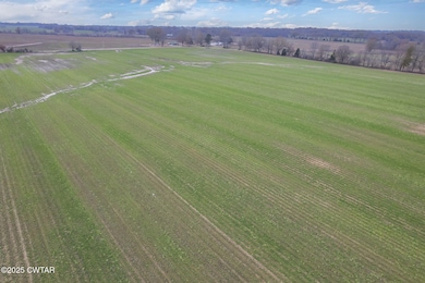 0 Lanier Rd, Alamo, TN 38001 - photo 5