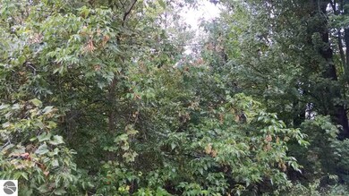 0 N Van Horn Rd, Au Gres, MI 48703 - photo 6