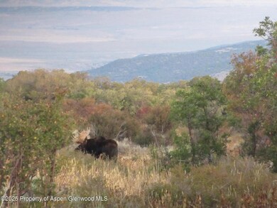2699 Grackle Rd unit Lot 95, Craig, CO 81625 - photo 6