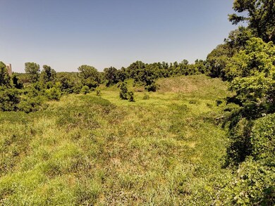 000 S Highway 61, Vicksburg, MS 39183 - photo 4