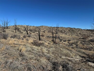0 F Path and 37th Trail, Cotopaxi, CO 81223 - photo 5