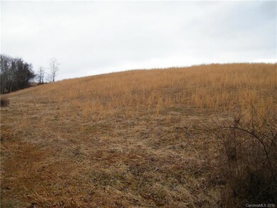 13.856 acres Turkey Creek Rd, Leicester, NC 28748 - photo 5