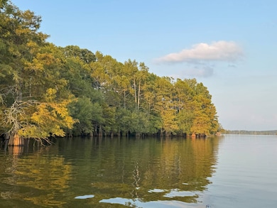 0 Timberland unit 11542662, Many, LA 71449 - photo 5