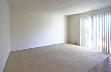 1000 Heights Blvd unit 17, Houston, TX 77008 - photo 4