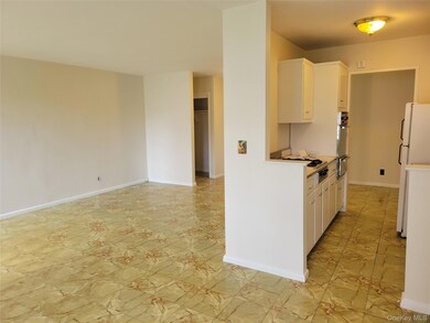 138-10 Franklin Ave unit 5, Flushing, NY 11355 - photo 3