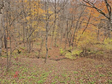 Lot 7 County Highway 6, Margaretville, NY 12455 - photo 6