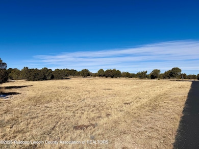 102 Tiwa Trail, Alto, NM 88312 - photo 3