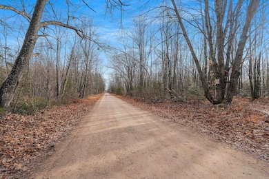 W8951 Pence Lake Rd, Deerbrook, WI 54424 - photo 4