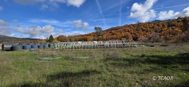 769 Barker Valley Rd, Hayfork, CA 96041 - photo 6