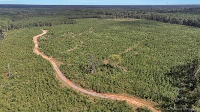 0 Louisiana 157 unit 21128560, Haughton, LA 71037 - photo 4