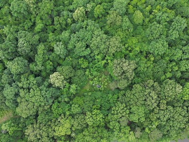 214 Gessler Rd, Benton, MS 39039 - photo 4