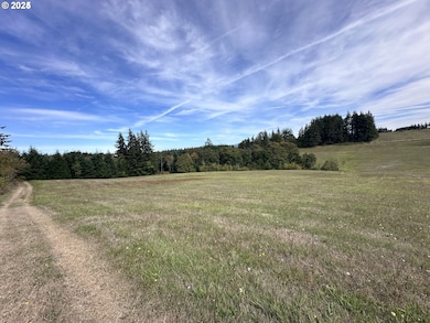 0 Canaan Rd unit 158917480, Deer Island, OR 97054 - photo 6