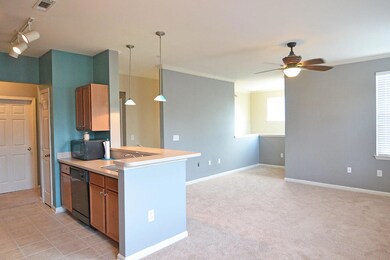 Main Living Area