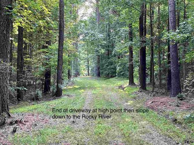 Lot 19 Nassau Trail, Pittsboro, NC 27312 - photo 6