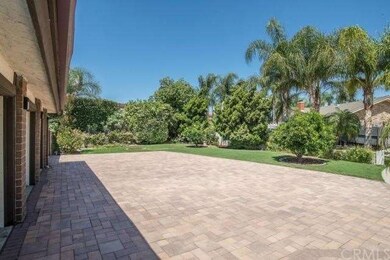 Expansive driveway area with mature fruit trees! P