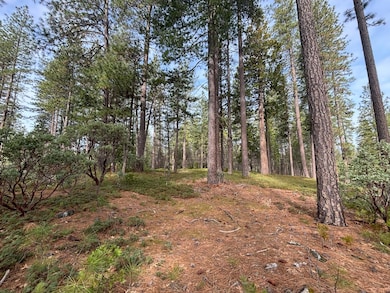 164 Vireo Way, Arnold, CA 95223 - photo 2