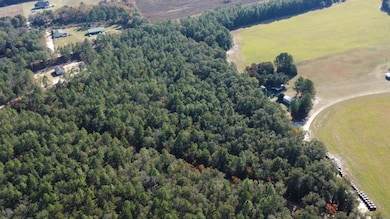 00 Tosha Ln, Salley, SC 29137 - photo 7