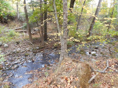 110 Hanrahan Ct, Matamoras, PA 18336 - photo 4