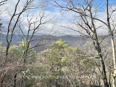 43 Highland Dr, White Sulphur Springs, WV 24986 - photo 3