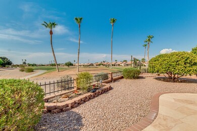 Back Yard View