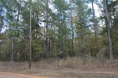 0 Conner Rd, Kosciusko, MS 39090 - photo 3