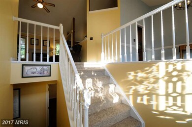 6211 Forest Grove Dr, Fredericksburg, VA 22407 - photo 7