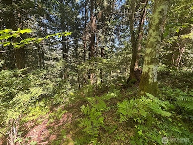 21 Clematis Ln, Bellingham, WA 98229 - photo 4