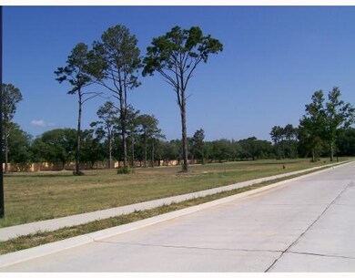 Land/Lot.