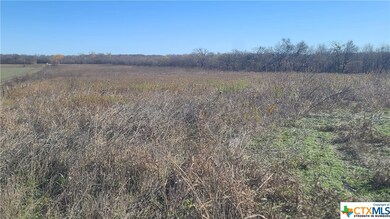 TBD Peach Orchard Rd, Temple, TX 76501 - photo 2
