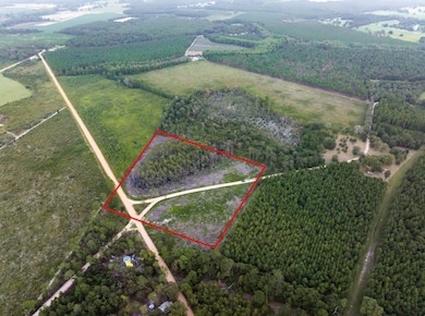 00 Sam Anderson Rd, Glennville, GA 30428 - photo 3