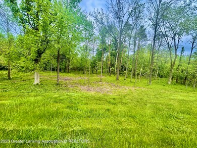 0 Lot C Willow, Lansing, MI 48917 - photo 6