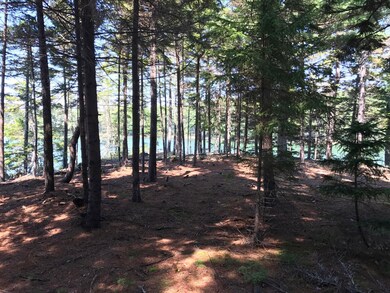 0 Drebelbis Rd unit 1435265, Bristol, ME 04558 - photo 6